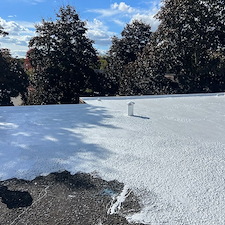 10-Year-Uniflex-Silicone-Restoration-Rochester-Hills-Michigan 3